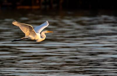 Rio Dulce, Guatemala 