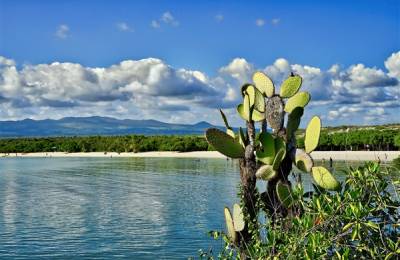 Insula Santa Cruz, Ecuador