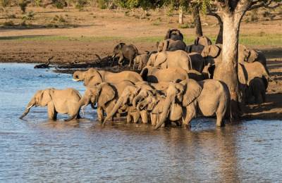 Parcul Național Kruger, Africa de Sud